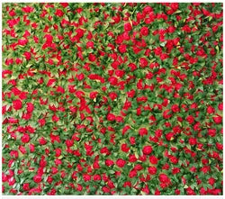Flowerwall Spun Silk 3D  Flowers Wall Backdrop Roll UpRoses  Modern Handmade Lightweight Long-Lasting Wall Panel Background