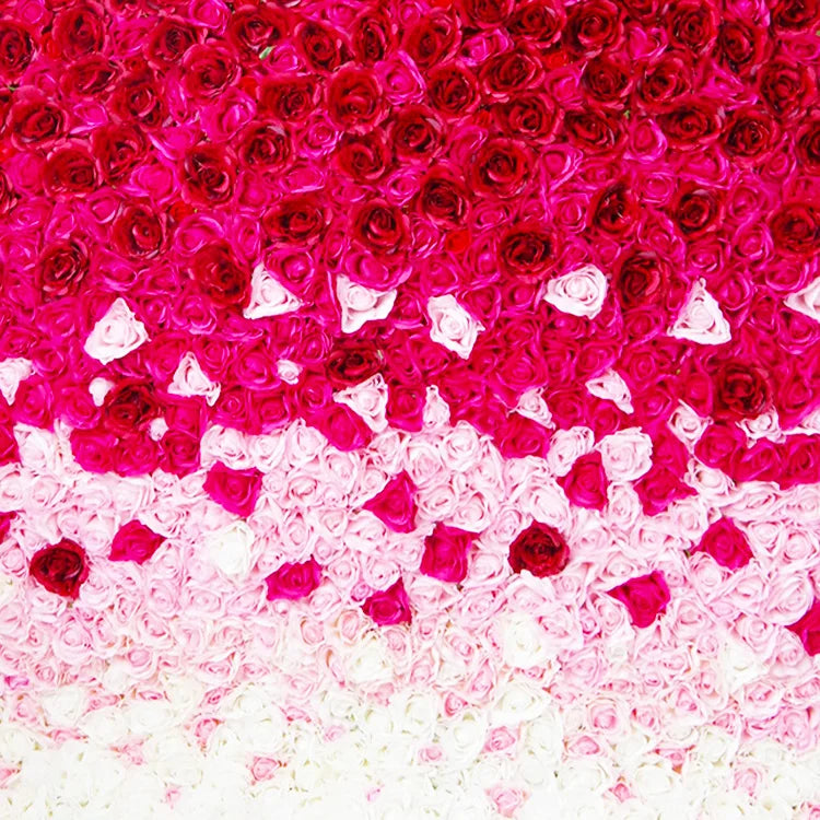 Wedding Backdrop Decoration Artifical Red Rose Wedding Silk 7*7ft Flower Backdrop Wall