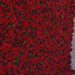 Luxury Rollable Silk Artificial Red Rose Flower Wall 8ft X 8ft Wedding Photography Backdrop Wholesale